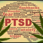 What is the Best Strain For PTSD and Anxiety?